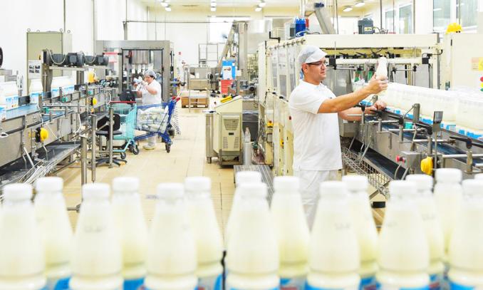 mljekarstvo industrija
